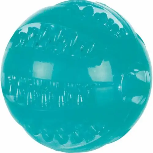 Mint Fresh Bold