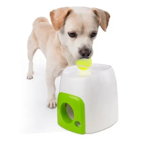 Hunde Bold Udsmider Aktivering