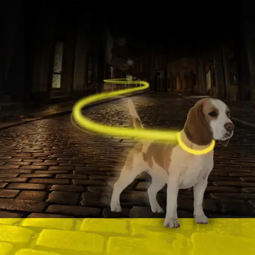 Led Hundesnor