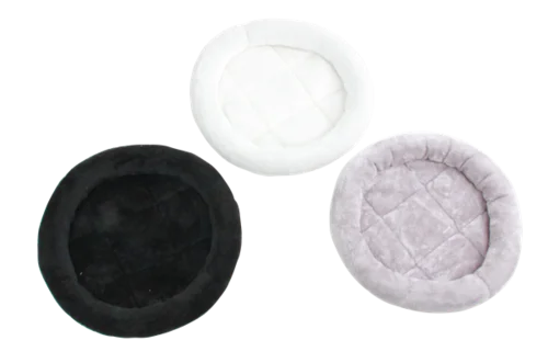 Katte Seng