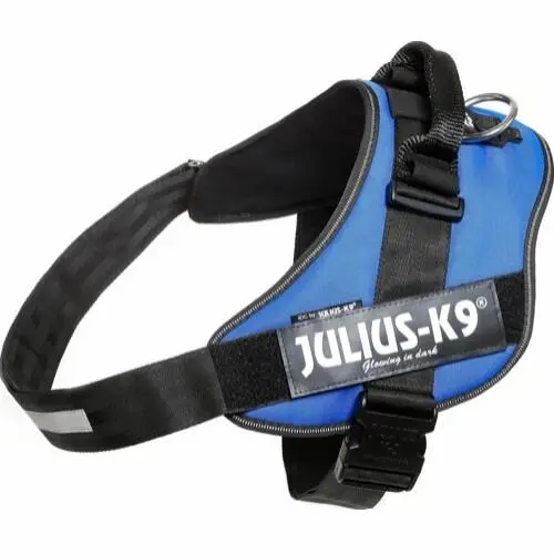 Julius K9 Sele