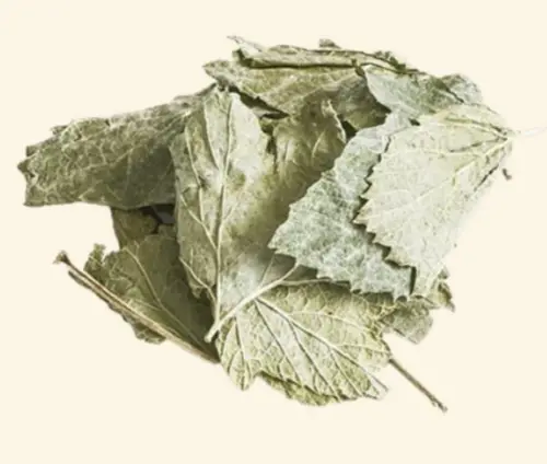 Solbærblade 100 gram