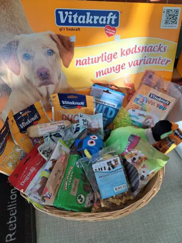 Rest Kasser Til Hunde