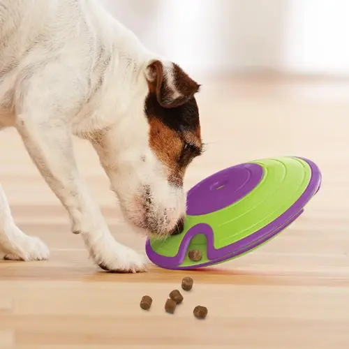 Hunde Dog Treat Maze Aktivitet