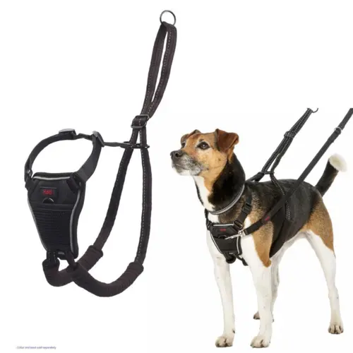 Halti No Pull hundesele