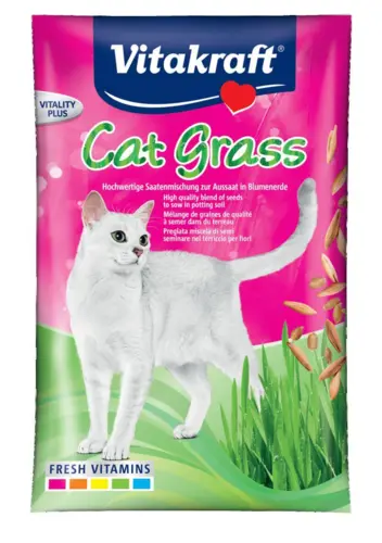 Katte Græs I Bakke