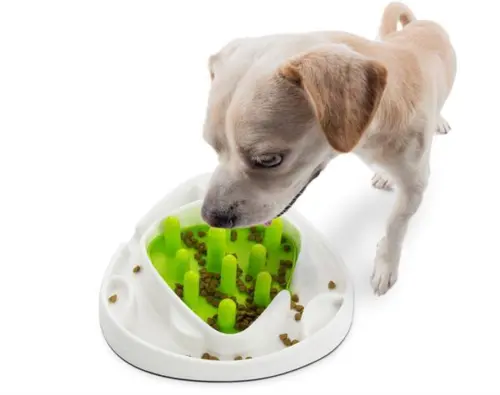 Hunde Aktivering Til Mad