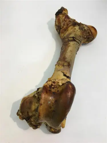 Okseben XL 40-45cm