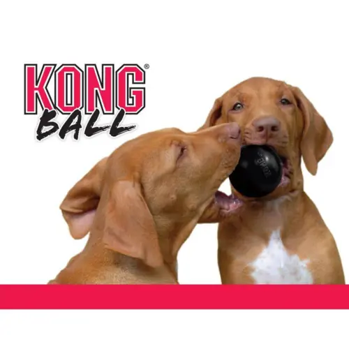 Kong Legetøj Extreme Ball