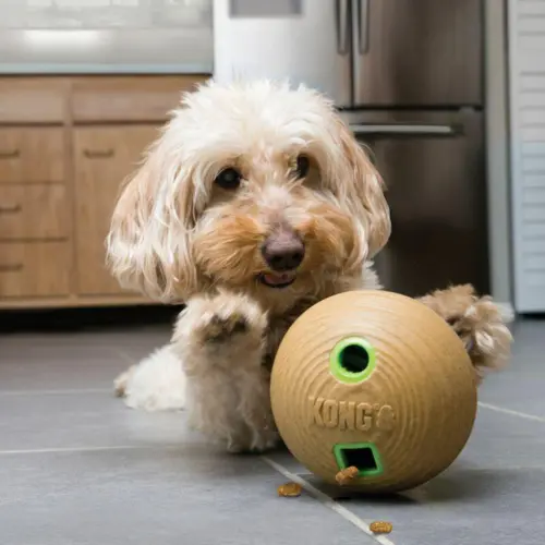 Kong Aktivitetslegetøj Bamboo Til Hunde