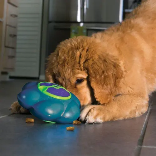 Kong Aktivitetslegetøj Flipz Til Hunde