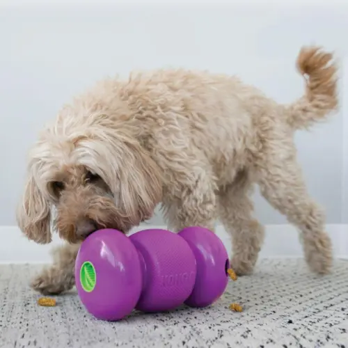 Kong Aktivitetslegetøj Replay Til Hunde