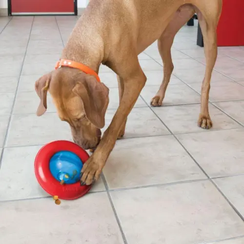 Kong Aktivitetslegetøj Gyro Til Hunde