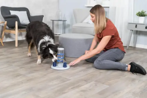 Tårn Aktivits Spil Til Hunde