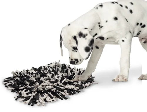 Snusemåtte Til Hunde