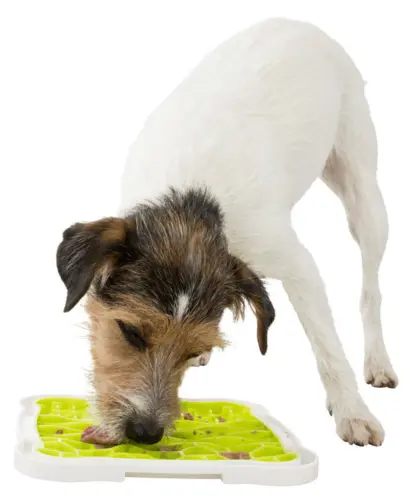 Slikkeplade Til Hunde