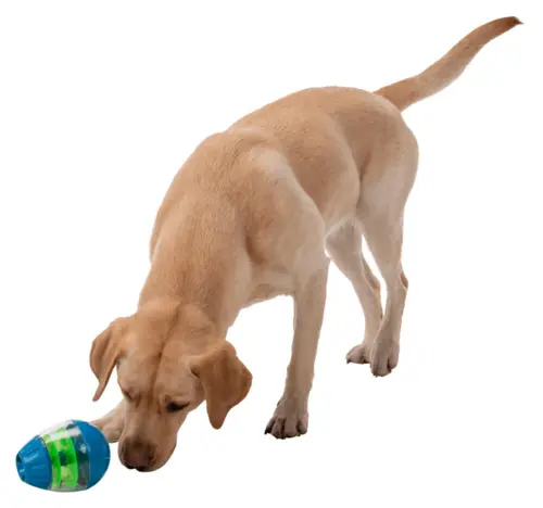 Roly Poly Snackæg Til Hunde