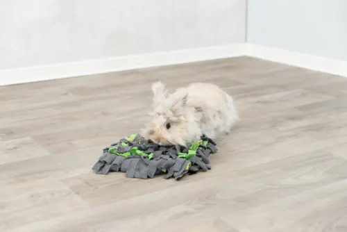 Snusetæppe
