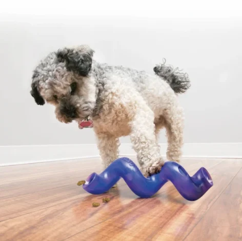 Kong Treat Spiral Til Hunde