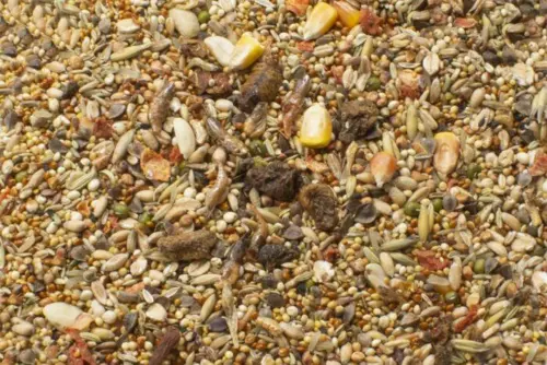 JR Farm Hamstersmovs 600g