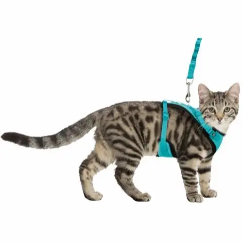 Sele Mesh Y-Sele Kat