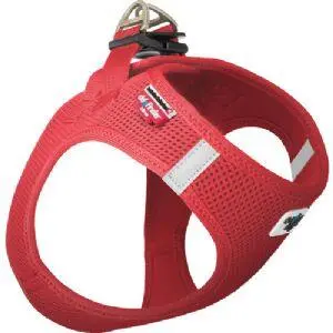 Air Mesh (Curli) Sele