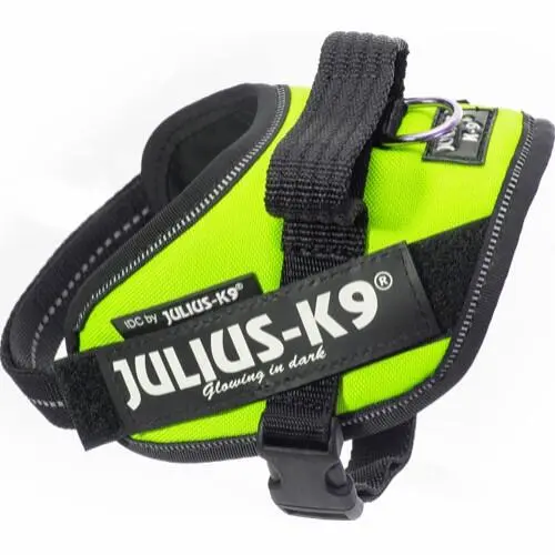 Julius K9 Sele