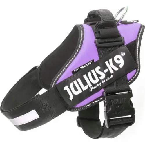 Julius K9 Sele