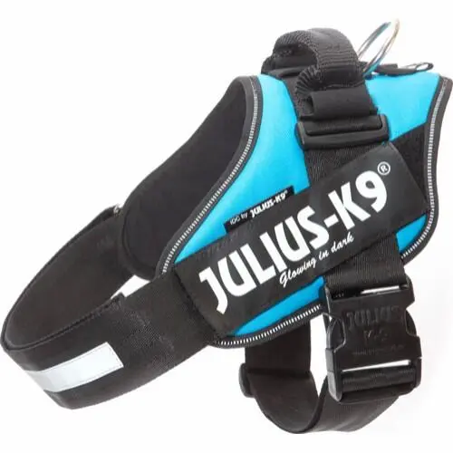 Julius K9 Sele