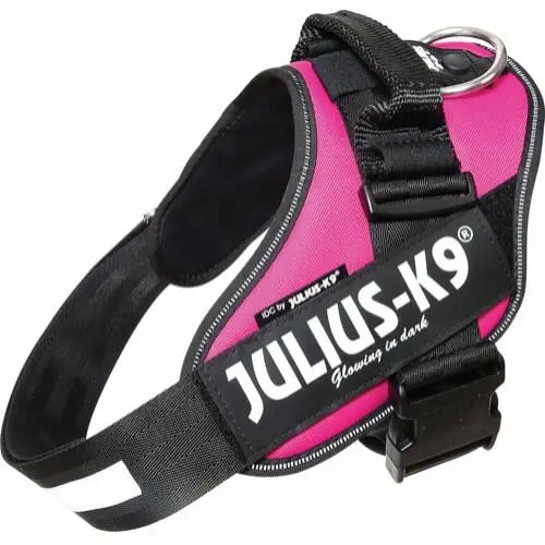 Julius K9 Sele