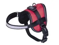 Harness Sele