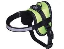 Harness Sele