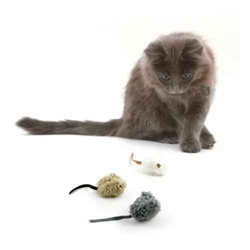 AFP Uld Mus Med Catnip