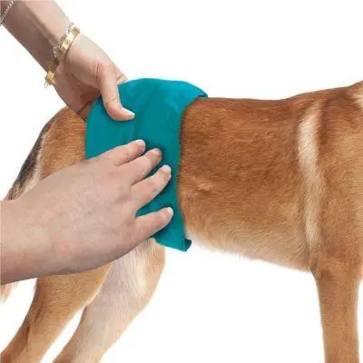 Simple Solution Vaskbar Hanhunde Bælte