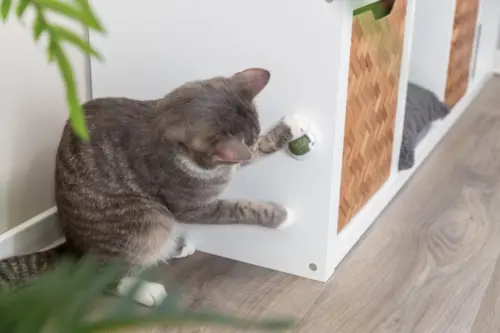 Catnip bold Med holder