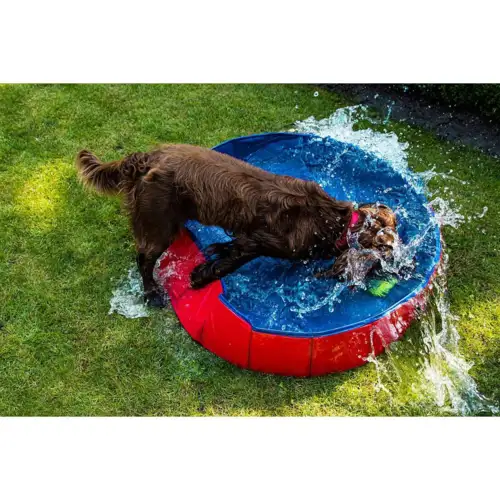 Hunde pool 120*30cm