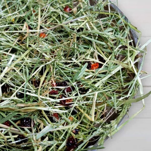 Bunny Nature FreshGrass Hø – med hyben (500g)