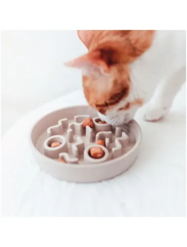 Bamboo Slow Feeder Til Kat