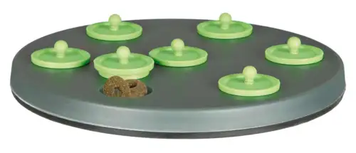 Aktivering Ti Kanin Og Marsvin