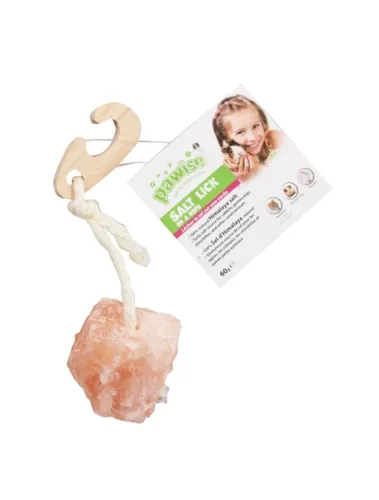 Himalaya saltsten