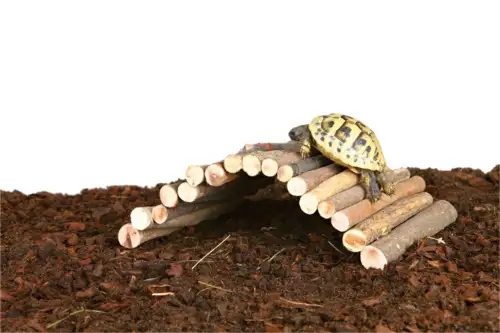 Træbro Small