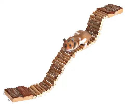 Hængebro I Træ