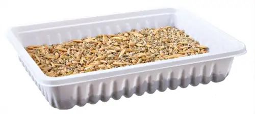 Smådyrs Græs
