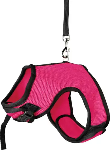 Soft Kanin sele 24-40cm
