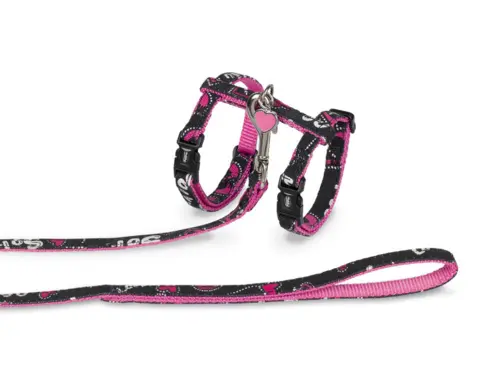 One Size Kattesele