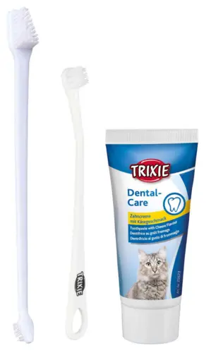 Tandhygiejne Sæt