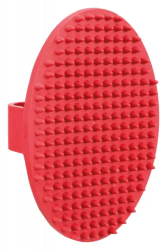 Massagebørste