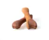 Treateaters Biscuit Bone Med Kylling Small