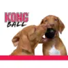 Kong Legetøj Extreme Ball
