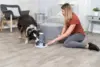 Tårn Aktivits Spil Til Hunde